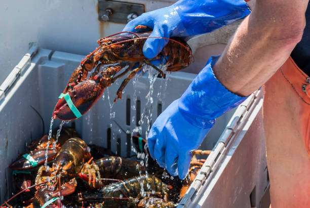 Why Did Walmart Stop Selling Lobsters